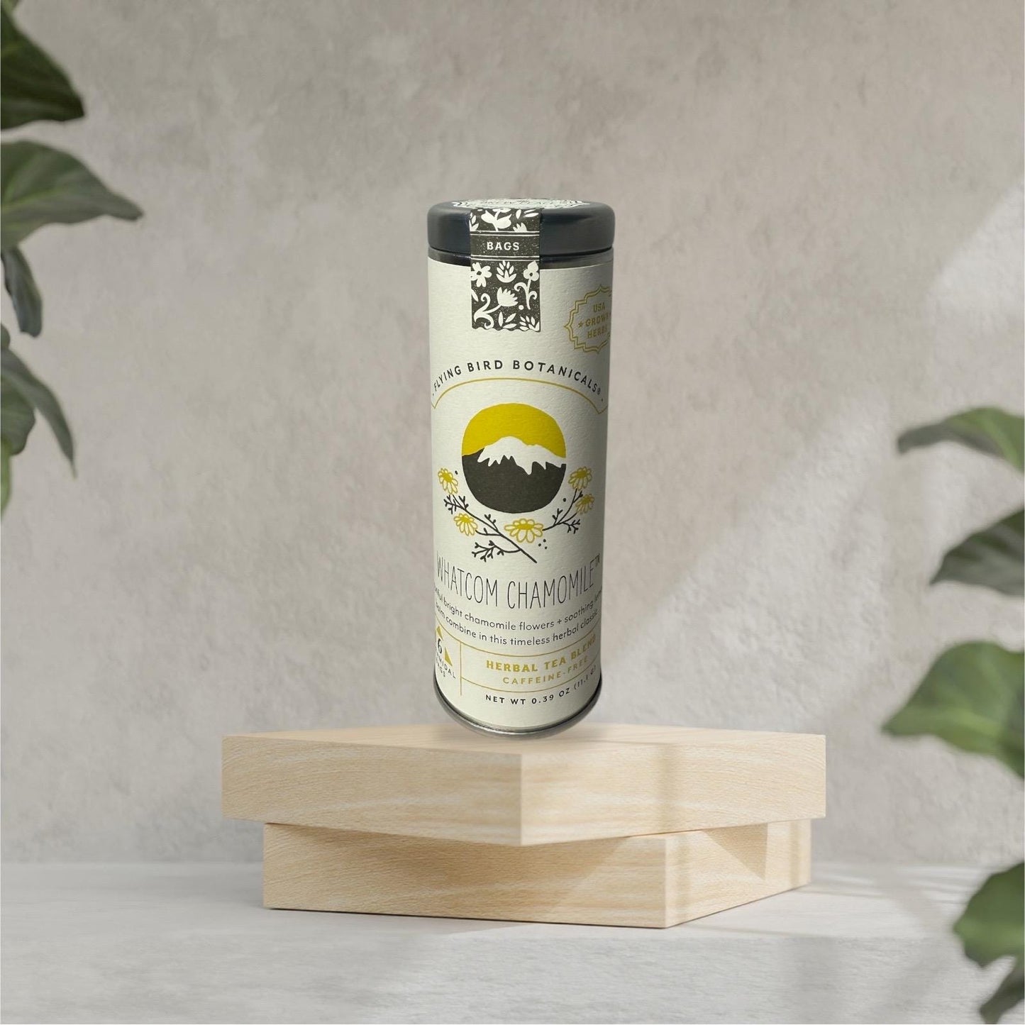 Mini Thinking of You/Sending Hugs in a Box